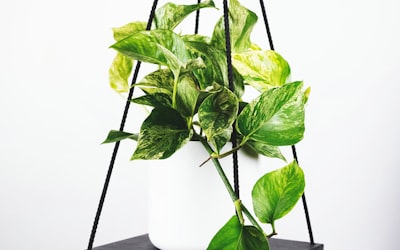 英超联赛曼城与阿森纳激烈比赛的球场全景